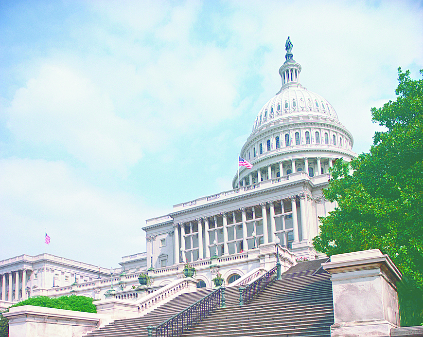 New Government Shutdown Caused by Bat in Capitol