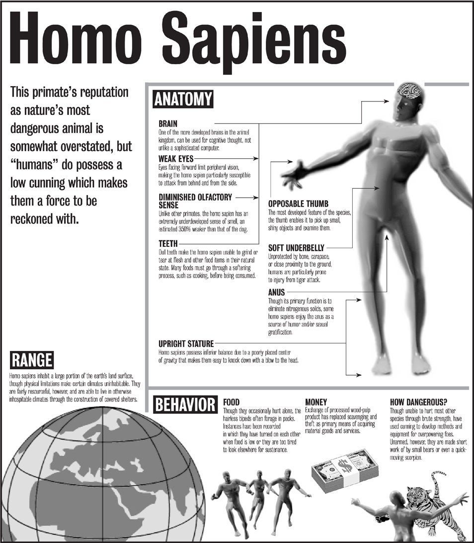 Homo Sapiens