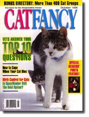 Cat Fancy Magazine Blasts Area Kitten