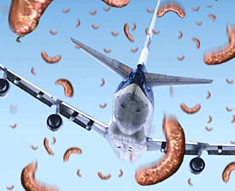 Sausage Storm Grounds Nation's Airliners