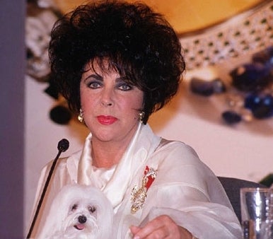 Liz Taylor In Stable Condition Following Emergency Rhinestonectomy