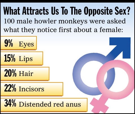 What Attracts Us To The Opposite Sex?