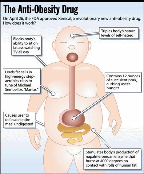 The Anti-Obesity Drug