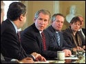 Bush Seeking Non-Masturbating Surgeon General