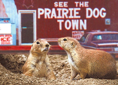 Prairie Dog Town Rezoned For Commercial Use