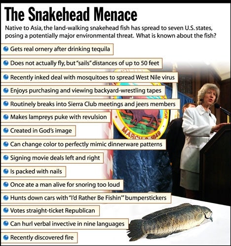 The Snakehead Menace