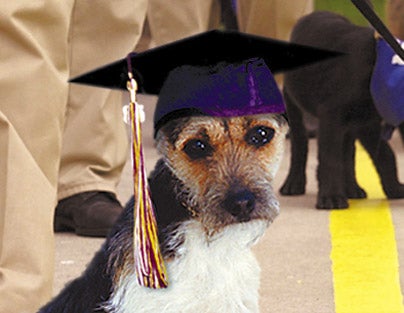 Dog Doesn't Realize He Just Graduated