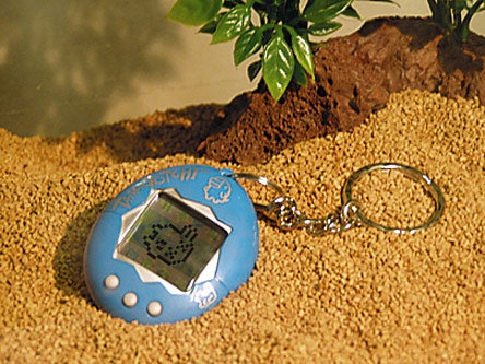 Last Living Tamagotchi Dies In Captivity