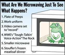 What Are We Microwaving Just To See What Happens?