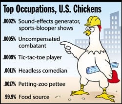 Top Occupations, U.S. Chickens