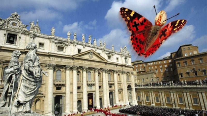 Pope Emerges From Chrysalis A Beautiful Butterfly