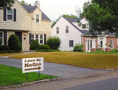 New Lawn-Care Product Makes Neighbor's Lawn Less Green