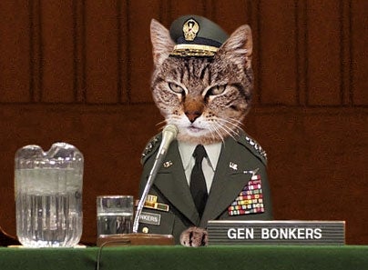 War On String May Be Unwinnable, Says Cat General