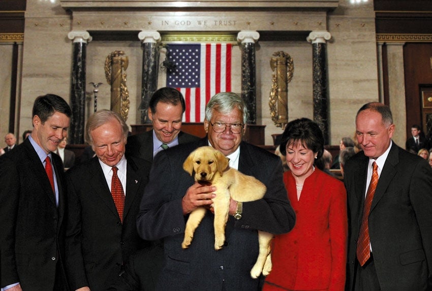 New Puppy Teaches Congress Important Lesson About Responsibility