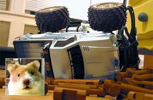 Hamster Thrown From Remote-Control Monster Truck