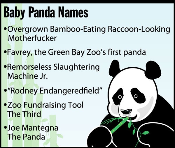 Baby Panda Names