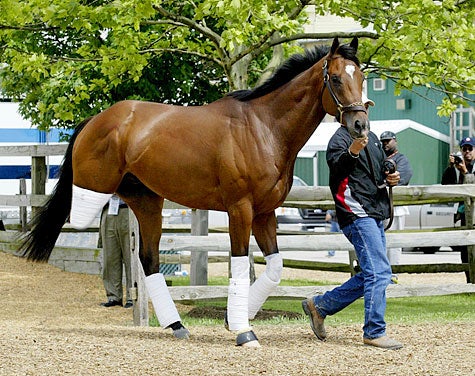 Barbaro's Doctors: 'A Horse This Good You Don't Eat All At Once'