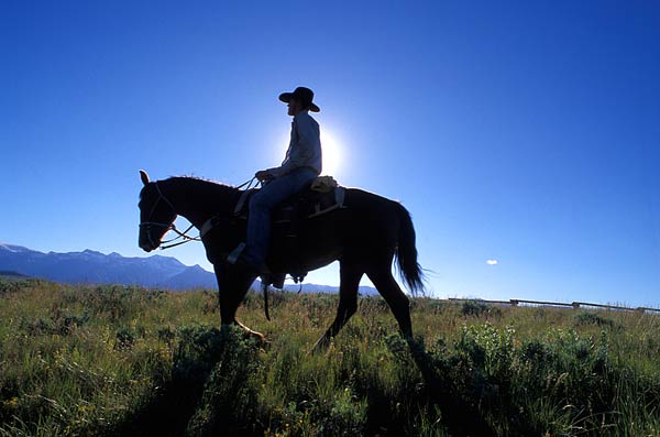 America's Cowboys Suffering From Restless Heart Syndrome