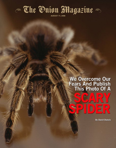 We Overcome Our Fears And Publish This Photo Of A Scary Spider