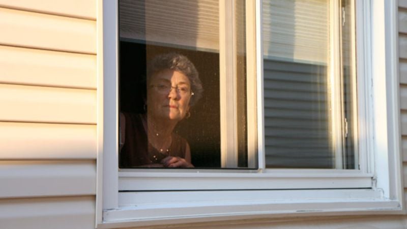 Hummingbird Back At Feeder Again, Grandmother Reports