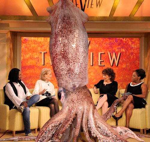 900-Pound Giant Squid Joins Cast Of 'The View'