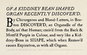 Historical Archives: Kid-ney Bean Shaped Organ Recently Discovered