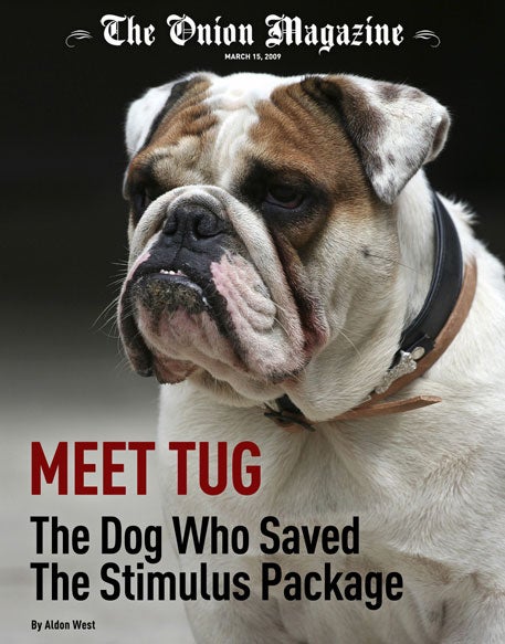 Meet Tug: The Dog Who Saved The Stimulus Package