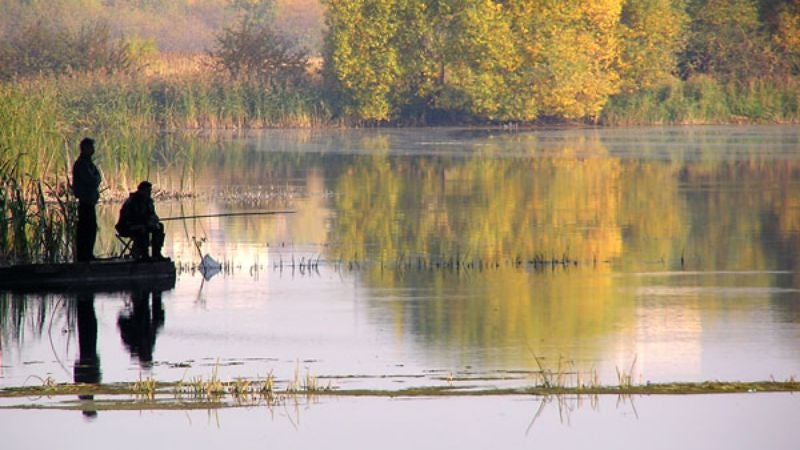 Two Dozen More Bodies Found In Lake Wobegon