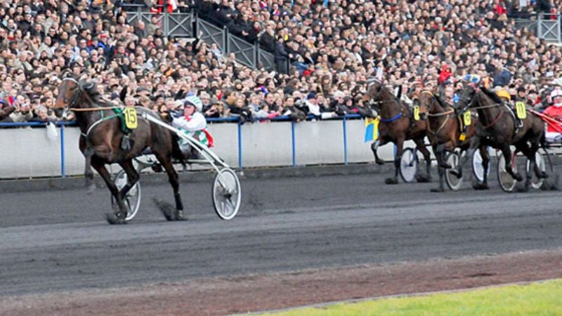 Harness Racing Movie Contends Life Is Like Harness Racing