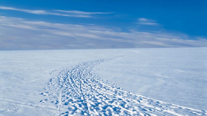 Flat, Unending Landscape Still Makes Veteran Cross-Country Skier Nervous Before Race