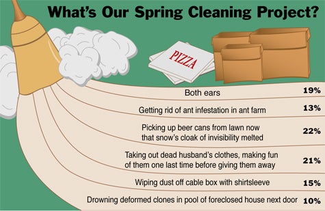 What's Our Spring Cleaning Project?