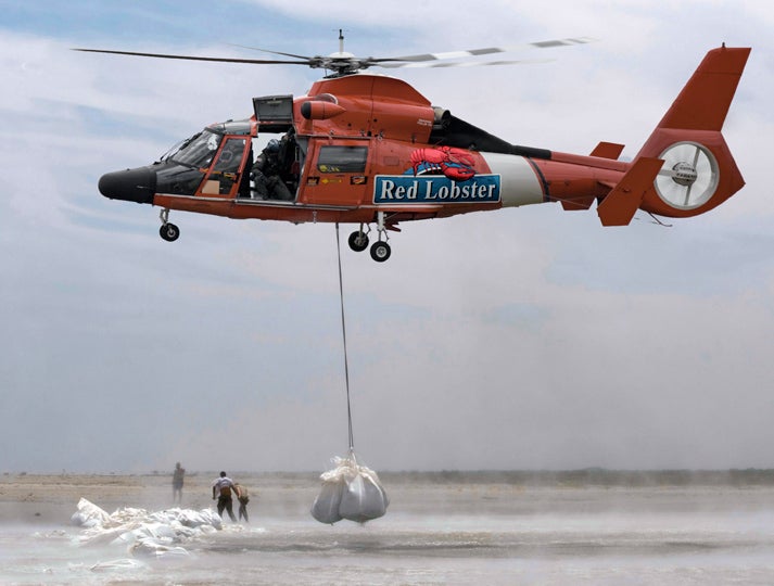 Millions Of Shrimp Airlifted From Oil Spill Disaster Zone