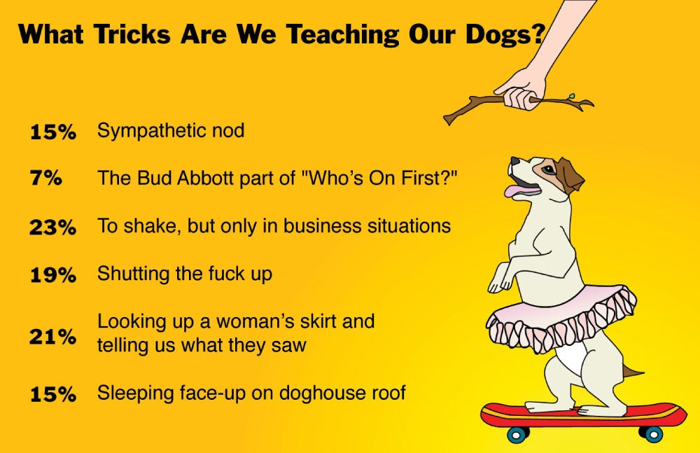 What Tricks Are We Teaching Our Dogs?