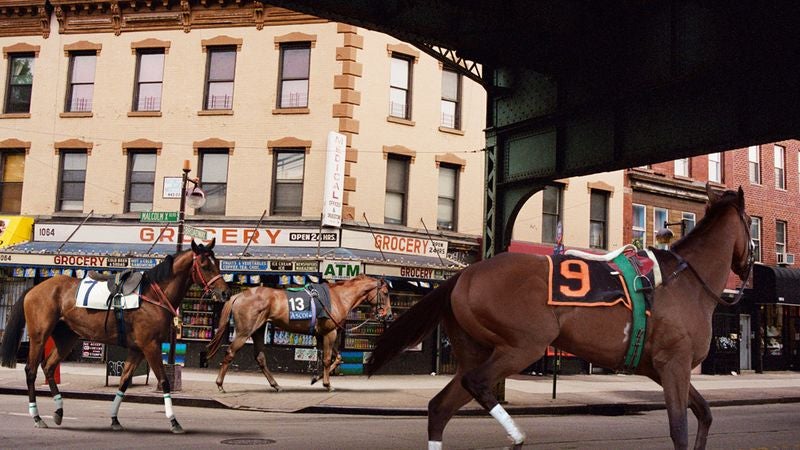 New Horse-Racing Initiative Aimed At Training Thoroughbreds From Inner City