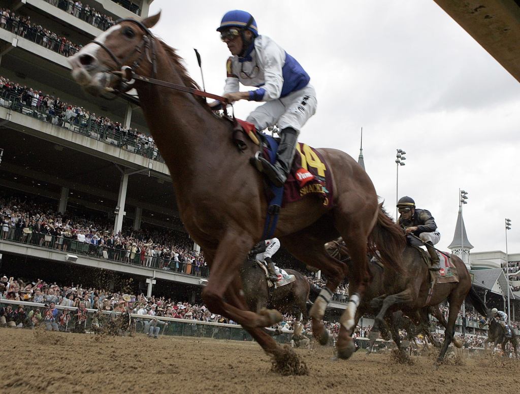 Could Shackleford Win The Triple Crown? No Because He Didn't Win The Kentucky Derby