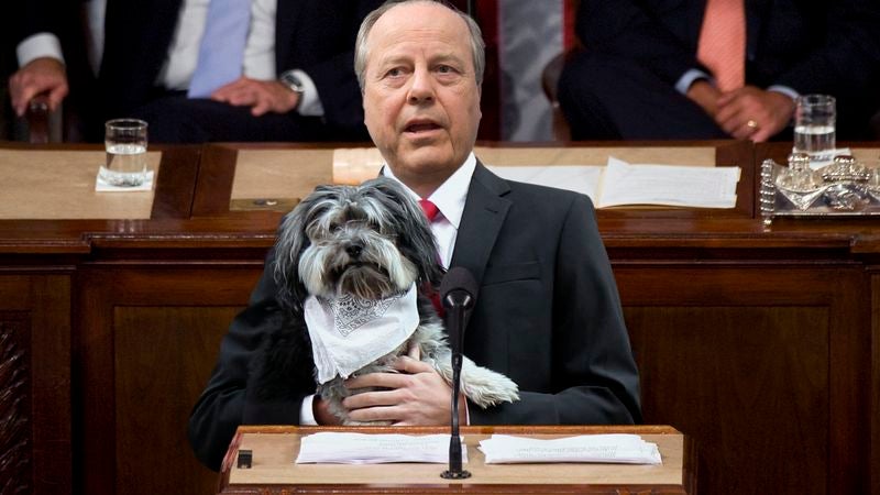 New Bipartisan Law Would Make Dog Neckerchiefs Mandatory