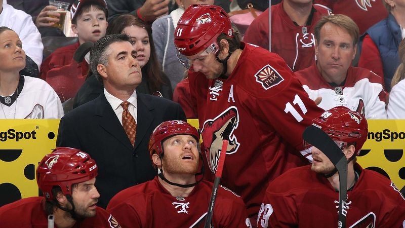 Arizona Toughens Immigration Laws In Attempt To Rid State Of Phoenix Coyotes