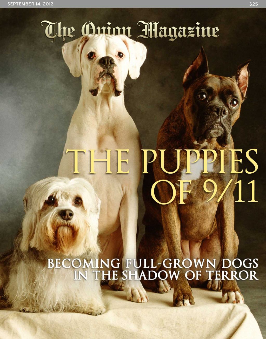 The Puppies Of 9/11: Becoming Full-Grown Dogs In The Shadow Of Terror