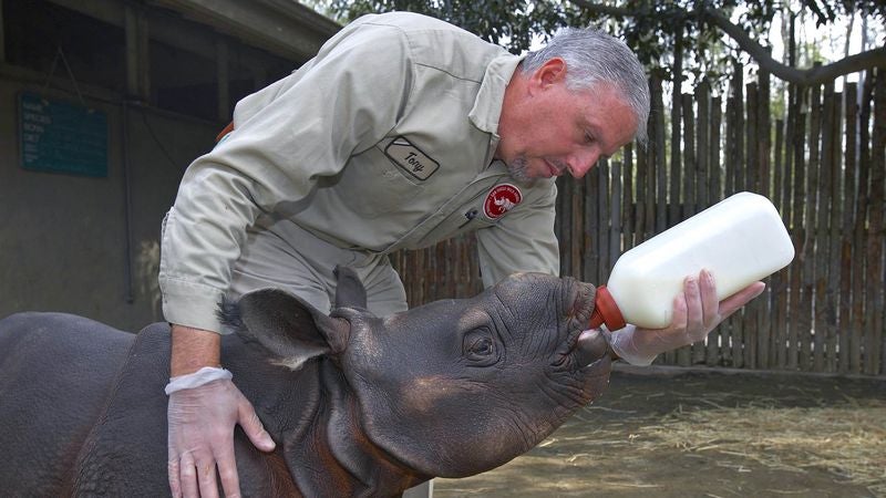 Horribly Depressed Zookeeper Has Always Had Special Connection With Animals