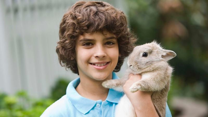 Doomed Rabbit To Teach 8-Year-Old About Responsibility