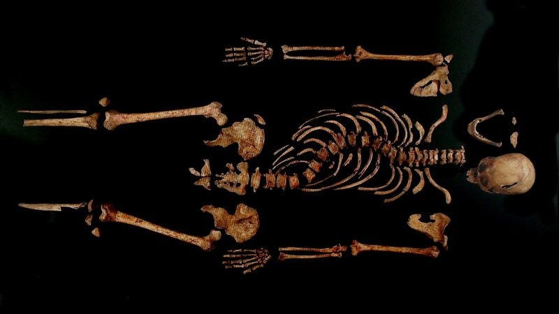 'Well, That Was Cool,' Say Archaeologists Before Dumping Bones Of King Richard III Back Into Hole