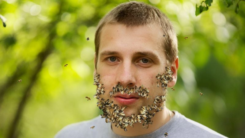 Man Has Trouble Growing Full Beard Of Bees