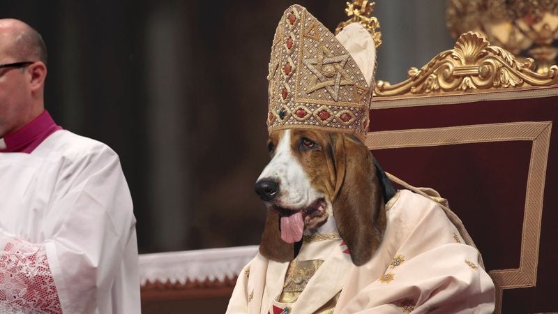 Poll: 99% Of Human Beings Would Prefer Big, Slobbery Hound Dog Pope