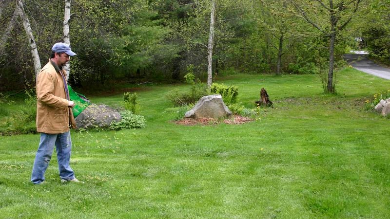 Dad Busy Throwing Seeds Or Something On Lawn