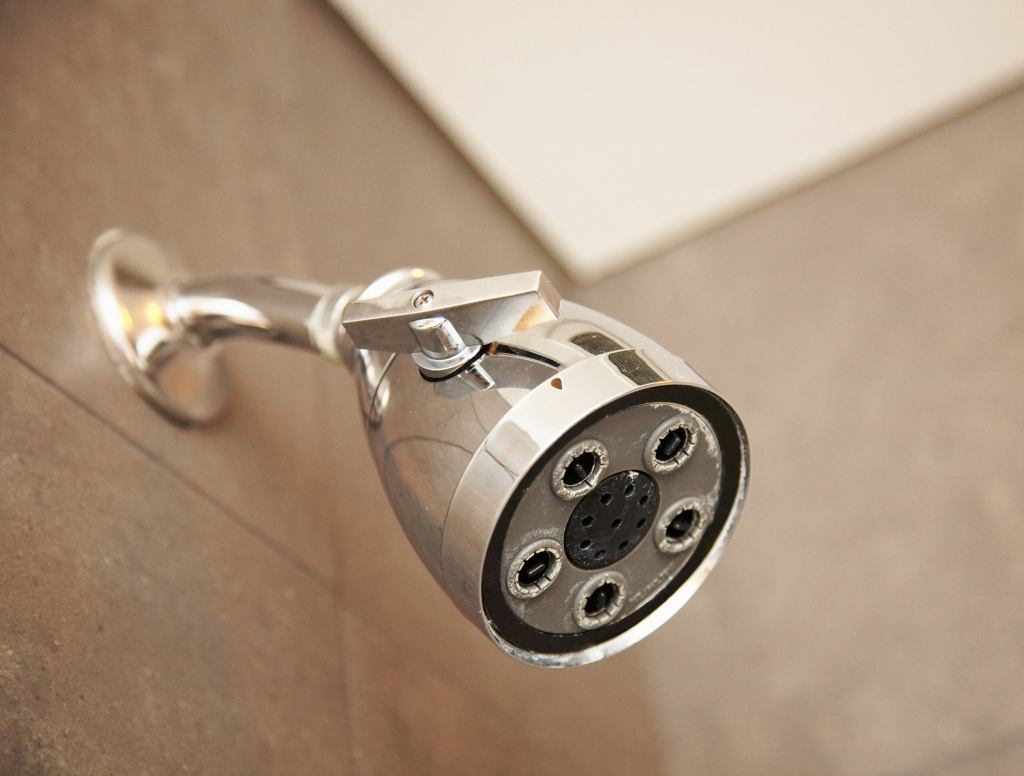 Shower Head Snarls Like Vicious Jungle Cat Before Turning On