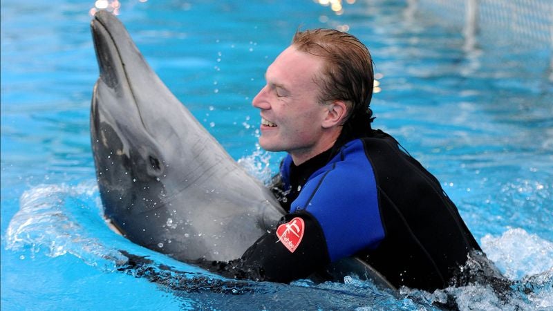 Dolphin Spends Amazing Vacation Swimming With Stockbroker