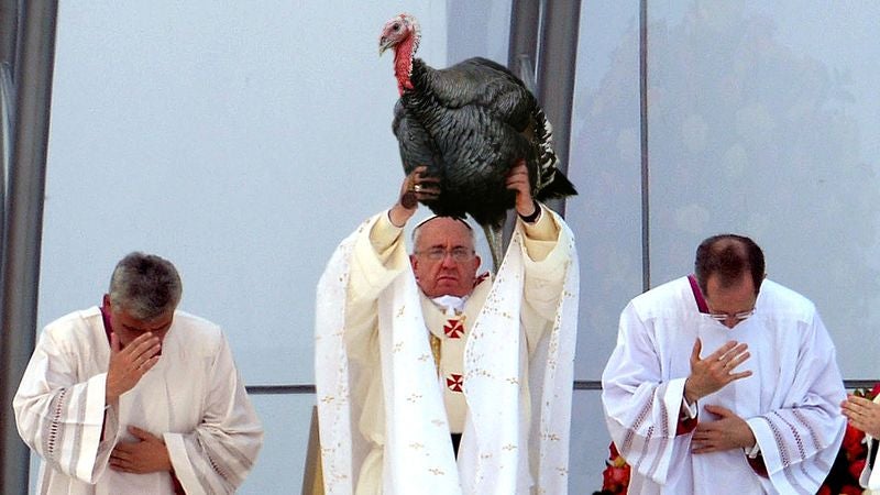 Pope Francis Canonizes Single Turkey In Annual Vatican Tradition