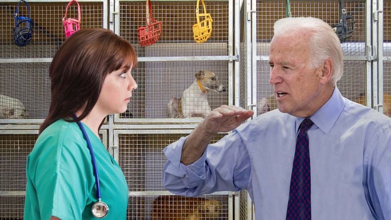 Frantic Biden Searching Dog Shelter For Bo Look-Alike