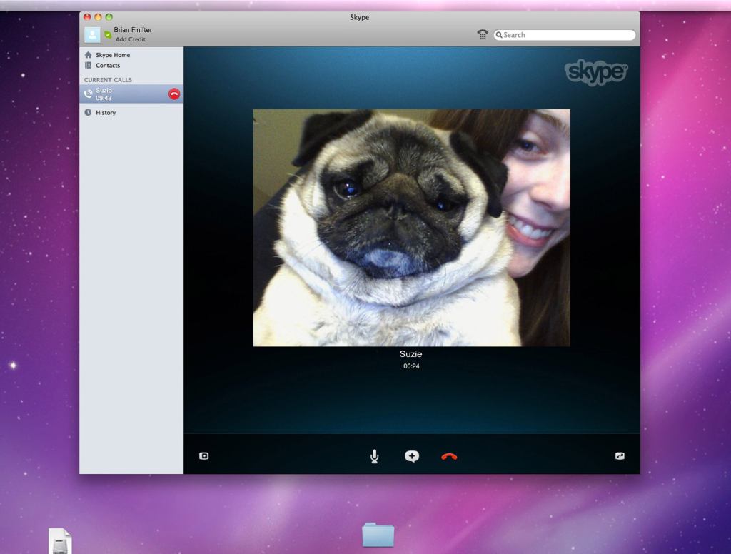 Dog Held Against Will Inside Skype Window