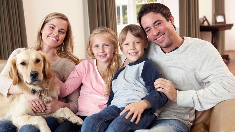 Dog Doesn’t Consider Itself Part Of Family